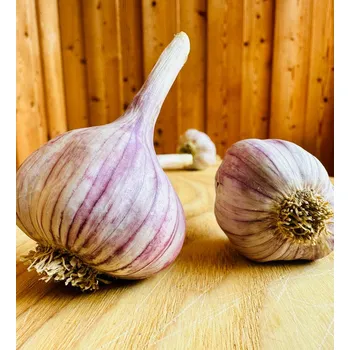 Zelenina Severský paličák