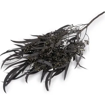 umělá květina Stabilizovaný eukalyptus svazek - černá