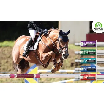 Audevard Balíček FLASH – kompletní podpora koně