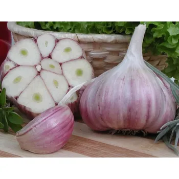 Sazenice Česnek sadbový Harnaš 25 kg - paličák