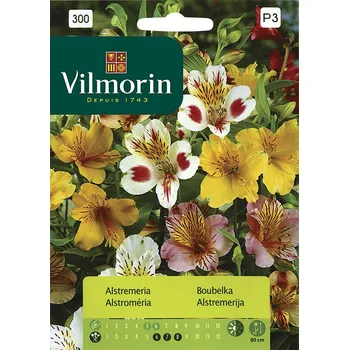 Semeno Boubelka (alstroméria)