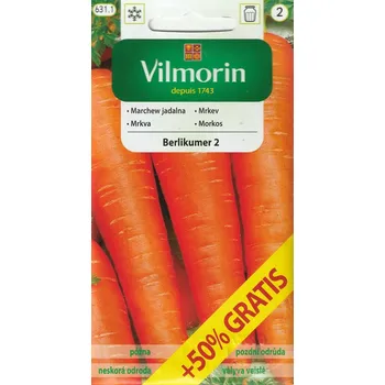 Semeno Mrkev Berlikumer 2 (pozdní, o 50 % větší balení)