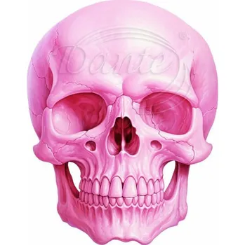 Textilní nažehlovací páska Dante Nažehlovačka Lebka růžová - 9 x 12 cm