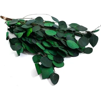 umělá květina Eucalyptus Populus stabilizovaný 150 g 50 cm zelený