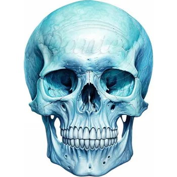 Textilní nažehlovací páska Dante Nažehlovačka Lebka modrá - 9 x 12 cm