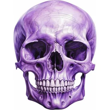 Textilní nažehlovací páska Dante Nažehlovačka Lebka fialová - 9 x 12 cm