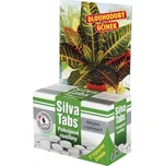 Ecolab Hnojivo Silva Tabs pokojové rostliny 45ks