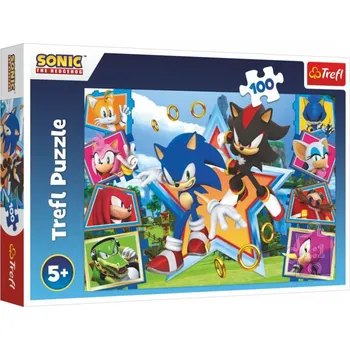 Puzzle Puzzle Seznamte se se Sonicem/Sonic the Hedgehog 100 dílků 41x27,5cm