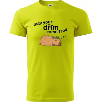 May your dřím come true - Klasické pánské triko vyšší gramáže - M ( Limetková )