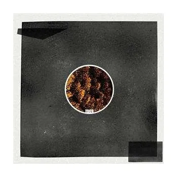 Zahraniční hudba LP James Ruskin: From The Ashes 2023