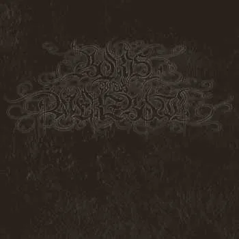 Zahraniční hudba LP Boris: 04092001 CLR 2023 Silver Coloured Vinyl Edition