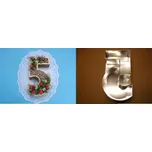 Dortová forma číslice 5 34cm - Jakub Felcman