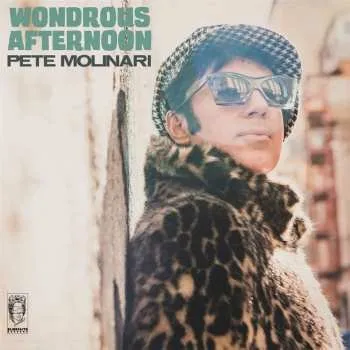 Zahraniční hudba LP Pete Molinari: Wondrous Afternoon 2024