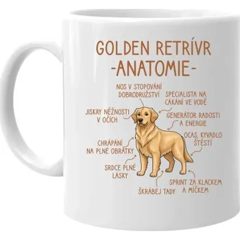 Žertovný předmět Golden retrívr – anatomie - hrnek s potiskem- Tričkový.cz