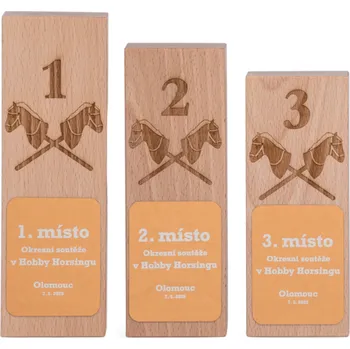 Dřevěná plaketa se zlatým štítem s laserovým gravírováním, 70x180mm