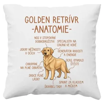 Žertovný předmět Golden retrívr – anatomie - polštář s potiskem- Tričkový.cz
