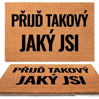 Rohožka KOKOSOVÁ VSTUPNÍ ROHOŽKA | 40X60 PŘIJĎ TAKOVÝ, JAKÝ JSI MIX VZORŮ