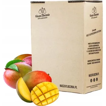 Šťáva Nasza Tłocznia 100% mango 5000 ml bez konzervantů