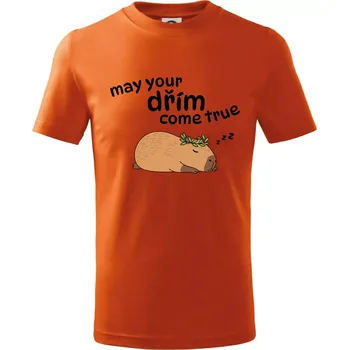 Chlapecké tričko May your dřím come true - Tričko dětské bavlněné - 104-110cm / 3-4 roky ( Oranžová )