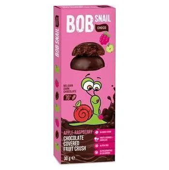 Sušené ovoce Neznámý Ovocná pochoutka, jablko-malina v hořké čokoládě, 30 g, BOB SNAIL BS-4130