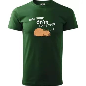 May your dřím come true - Triko extra velké (5-8XL) - 6XL ( Lahvově zelená )