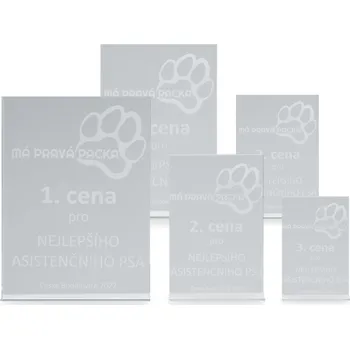 Skleněná plaketa s laserovým gravírováním, 80x125mm