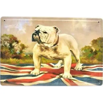 Plechová cedule Cedule UK Dog
