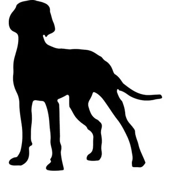 Vánoční ozdoba Psí vánoční baňka se siluetou psa a jménem Maďarský ohař drátosrstý - A