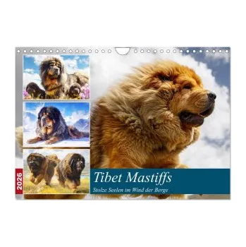 Cestování Tibet Mastiffs. Stolze Seelen im Wind der Berge (Wandkalender 2026 DIN A4 quer), CALVENDO Monatskalender: Wildromantische Bilder von majestätischen und kraftvollen Hunden. DE – Calvendo,Rose Hurley (DE)