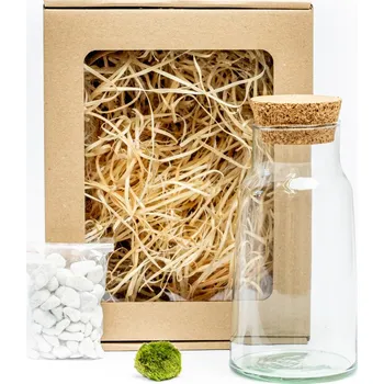 Bytová dekorace Gardners Skleněná dóza Syringa 18x9,5 cm a 1 řasokoule v dárkovém balení Cladophora Aegagropila