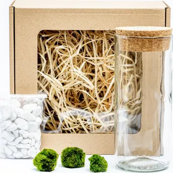 Váza Gardners Skleněná váza Lipia výška 17,5 cm a 3 řasokoule v dárkovém balení Cladophora Aegagropila