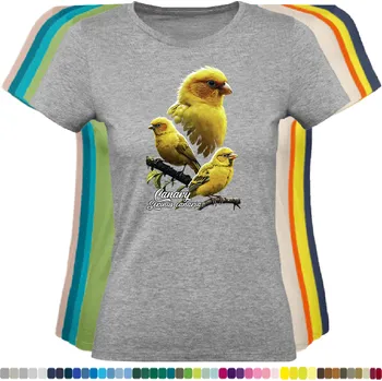 Dámské tričko damske-levne-bavlnene-tricko-digitalni-potisk-papousek-andulka Barva: Grey melange - šedá směs, velikost: XL