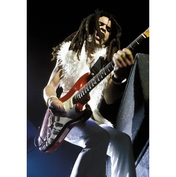 Plakát Plakát, Obraz - Photo of Lenny KRAVITZ