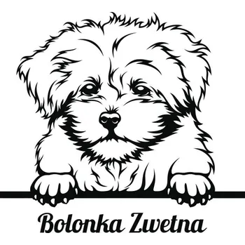 Věšák Věšák na vodítka a obojky – přírodní hnědá Ruská barevná bolonka - A