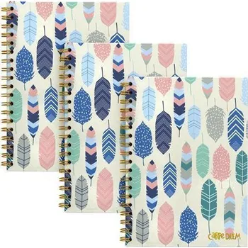Spirálový sešit "Carpe Diem", motiv s peřím, B5, linkovaný, 80 listů, FSC, PUKKA PAD 9379-CD