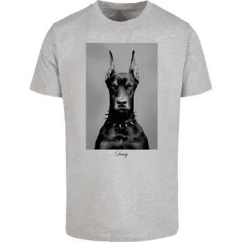 Pánské tričko Pánské tričko Dawg šedé Mister Tee šedá 2833751