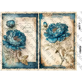 Umělecký papír Rýžový a soft papír na decoupage - Pivoňka tyrkysová - KB01299 Materiál: Soft, Rozměr: A4