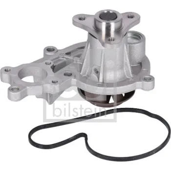 Motor automobilu Vodní čerpadlo, chlazení motoru FEBI BILSTEIN 183691