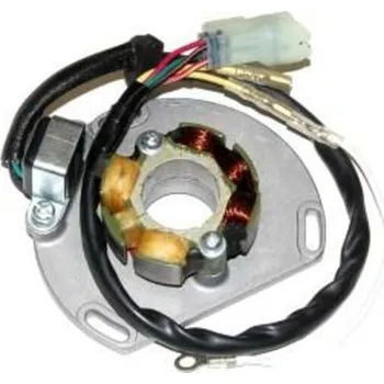 Auto-moto Stator a blesková cívka ELECTROSPORT - KTM ESL239