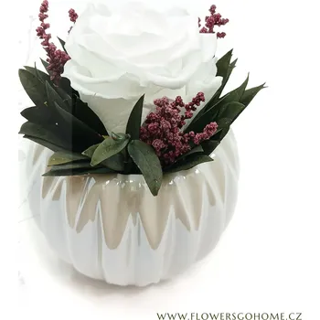 umělá květina Smeraldino Stabilizovaná růže Perla bílá