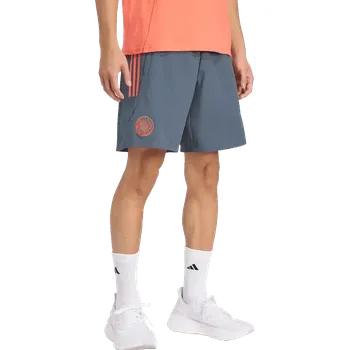 Pánské šortky Adidas FC Bayern 25/26 Competition Downtime šedé