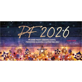 Vánoce Novoročenka 466 – Vánoční ozdoby