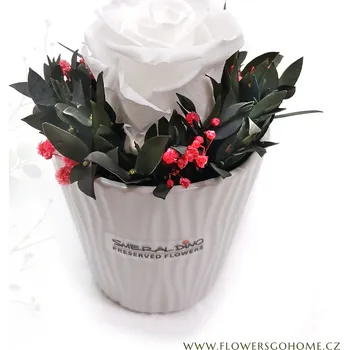 umělá květina Stabilizovaná růže Cindy Barva: White