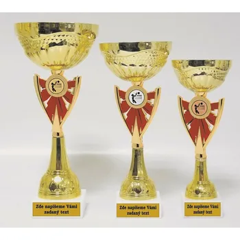 Volejbal žena poháry 518-20