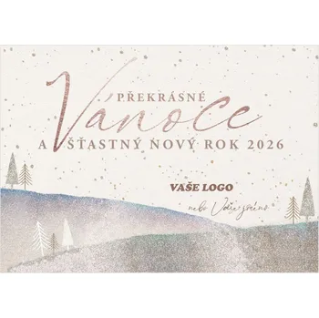 Novoročenka 540 - třpytivé stříbrné přání