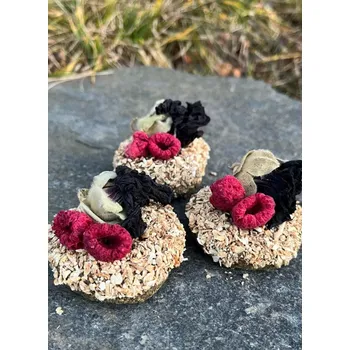 Pamlsek pro psa Bennyho sušenky Celerové hnízdečko s malinami - 1 ks