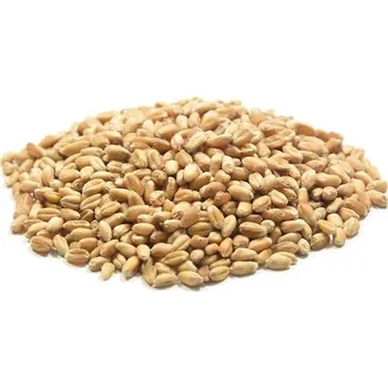 Krmivo pro hospodářské zvíře AGRI Slatinice Pšenice krmná 25kg