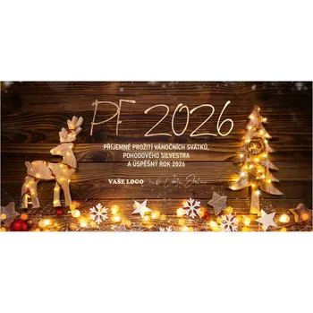 Vánoce Novoročenka 425 – Dřevěné vánoční ozdoby