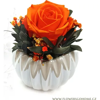 umělá květina Stabilizovaná růže Perla Barva: Orange