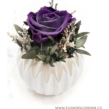umělá květina Stabilizovaná růže Perla Barva: Purple